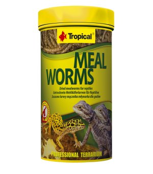 TROPICAL MEAL WORMS 250ML/30G