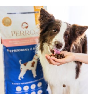 12kg - Wieprzowina z batatami - Perro - rasy średnie i duże - psy dorosłe - karma sucha