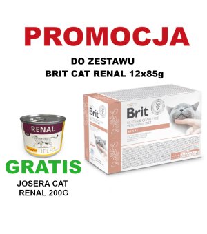 12x 85g - Renal - saszetki - Brit Veterinary Diet - mokra karma dla kota - niewydolność nerek - fileciki w sosie