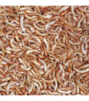 TROPICAL GAMMARUS 250ML/30G