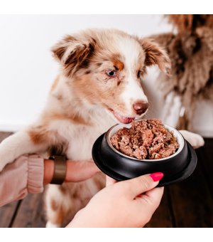 400g - Jeleń z gruszką - szczenięta - Perro Gourmet - karma mokra dla psa - puszka