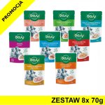 Oasy kot karma uzupełniająca More Love MIX smaków ZESTAW 8x 70g - saszetki
