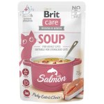 BRIT CARE Cat Soup with Salmon - zupa dla kota z łososiem 75g
