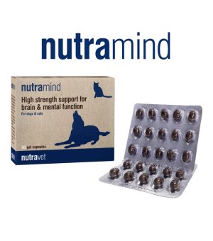 NUTRAMIND FOR DOGS AND CATS - Wsparcie funkcjonowania mózgu oraz procesów uczenia - blister 15 kaps. krótki termin:10.2026