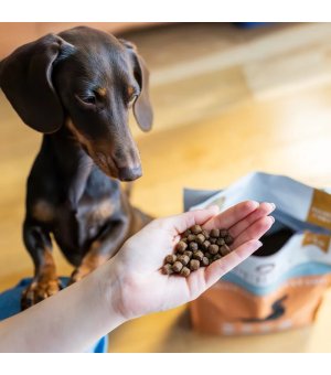 1kg - Wołowina z batatami - Perro - małe rasy - psy dorosłe - karma sucha