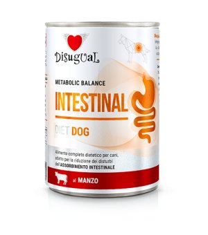 Disugual Veterinary Dog Intestinal Wołowina 400g