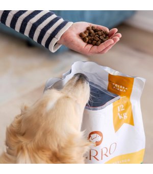 Kaczka z batatami - Perro - rasy średnie i duże - psy dorosłe - karma sucha 1kg (waga)