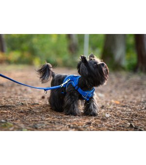 PETNOVA Szelki Air czarne S