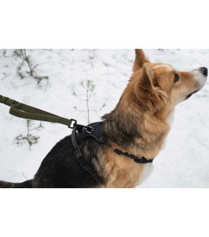 PETNOVA Szelki Comfort czerwone XS