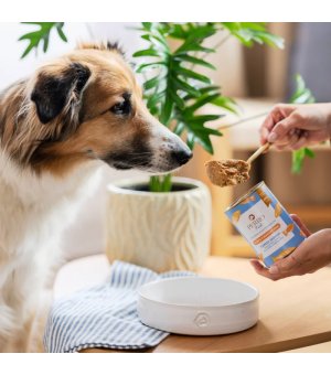 400g - Dorsz z marchewką - Perro Fish - karma mokra dla psa dorosłego - Nowa Formuła - puszka