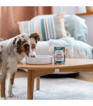 800g - Jeleń z Warzywami - Perro Light - karma mokra monobiałkowa dla psa dorosłego - puszka