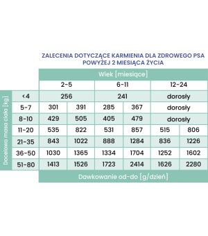 800g - Konina z Dynią - szczenięta - Perro Gourmet - karma mokra dla psa - puszka