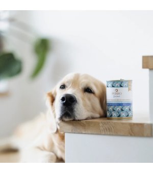 800g - Konina z Korzeniem Pietruszki - Perro Gourmet - karma mokra dla psa dorosłego - puszka
