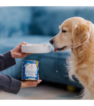 800g - Sardynka z Cukinią - Perro Fish - karma mokra dla psa dorosłego - puszka