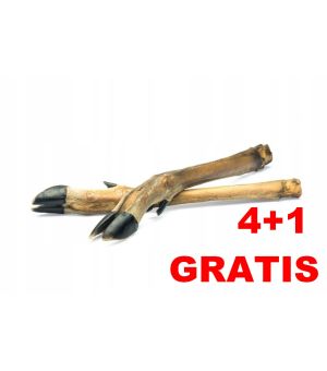 Abakus Suszona noga sarnia biała 4+1szt GRATIS
