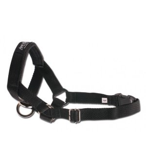 Ami Play Halter N 1 Yorkshire Terrier - czarny