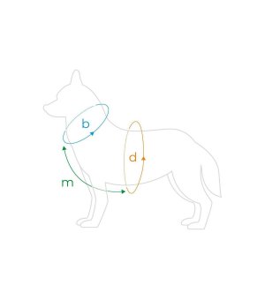 Amiplay Szelki regulowane Guard BeHappy S Jungle