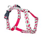 Amiplay Szelki regulowane Guard BeHappy XL Watermelon