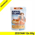 Animal Island Everyday Kitten mokra karma dla kociąt - Indyk z Cielęciną w Rosole ZESTAW 12x 85g
