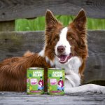 Animal Island karma mokra dla psów dorosłych Kaczka z Marchewką i Gruszką 400g