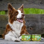 Animal Island karma mokra dla psów dorosłych Wołowina z Marchewką 410g