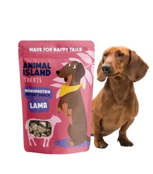 Animal Island Pieczone smaczki dla psa Jagnięcina 80g