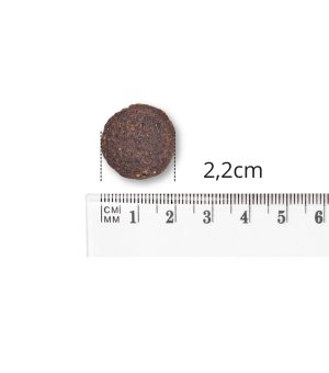 BALTICA ADULT SALMON HYPOALLERGENIC L/XL 12KG (uszkodzonae opakowanie)