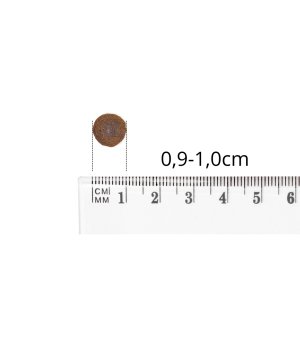 BALTICA karma sucha dla szczeniąt wszystkich ras Smaki Regionów Jagnięcina z Cielęciną 1kg (waga)