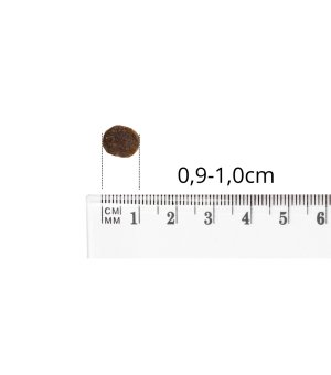 BALTICA Nutraceutic karma sucha dla psów dorosłych ras małych Lamb & Rice XS/S 1kg
