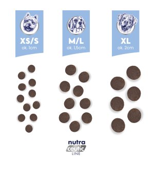 BALTICA Nutraceutic karma sucha dla psów dorosłych ras małych Fish & Rice Light XS/S 1kg