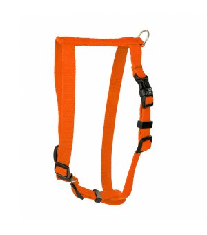 Barry King Classic guard Szelki S-M pomarańczowe 16mm/40-65cm