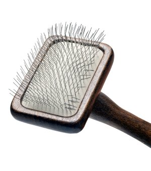 BARRY KING Szczotka Pudlówka Prostokątna Z Drewna Bukowego 6,9x15,2cm 