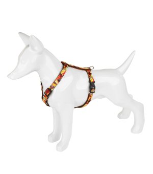 Barry King Szelki Jesień 10mm / 25-40cm