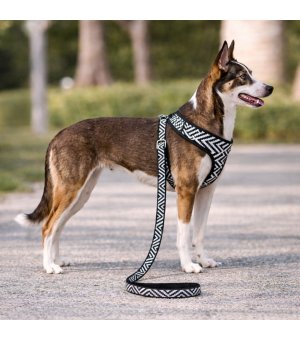 Barry King Szelki zabudowane AZTEKI 47cm / 58-78cm