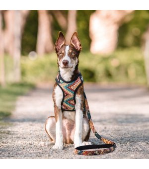 Barry King Szelki zabudowane BOHO 47cm / 58-78cm