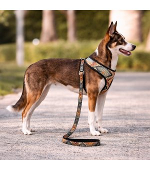 Barry King Szelki zabudowane BOHO 47cm / 58-78cm