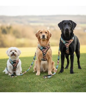 Barry King Szelki zabudowane BOHO 47cm / 58-78cm