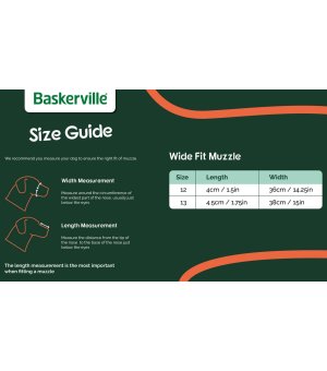 BASKERVILLE WIDE FIT - CLASSIC 12 BEŻOWY KAGANIEC