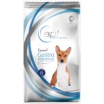 Euphoria VET Canine Gastro Intesinal karma weterynaryjna dla psów z problemami żołądkowo - jelitowymi 2kg