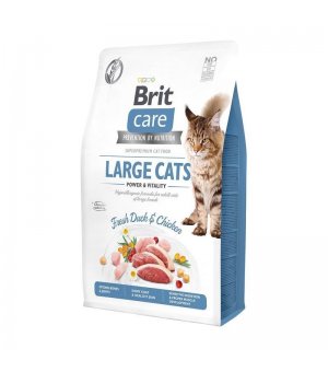 BRIT CARE dla kota Grain Free Large Cats power vitality - 2kg