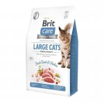 BRIT CARE dla kota Grain Free Large Cats power vitality - 400g