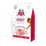 BRIT CARE dla kota Grain Free Adult activity support - 400g