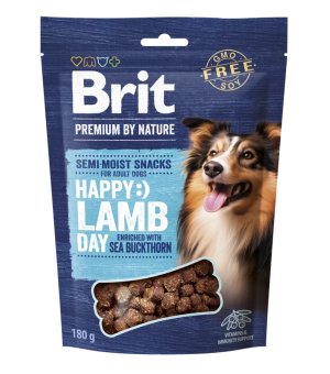 Brit Premium By Nature Dog Snack Jagnięcina z Rokitnikiem 180g