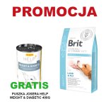 Brit Veterinary Diet Dog Obesity Lamb & Pea sucha karma DLA PSA - 2kg