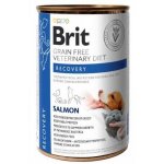 Brit Veterinary Diet Recovery Salmon - mokra karma dla psa i kota - 6x 400g