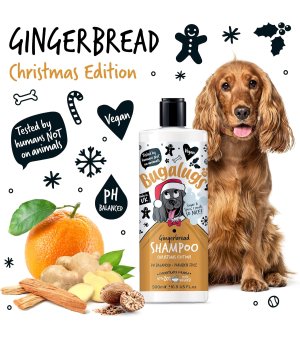 🎄🎁 Bugalugs Christmas Edition Gingerbread - uniwersalny szampon dla psa o zapachu pierniczków 500ml