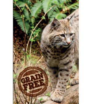 Karma sucha dla kota Carnilove Cat Reindeer Energy & Outdoor 2kg dla aktywnych