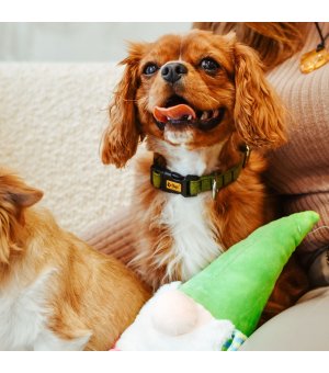 🎄🎁 Dingo zabawka pluszowa Krasnal Gandalf 45cm