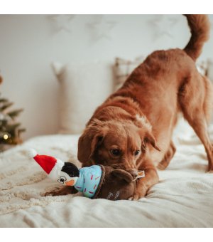 🎄🎁 Dingo zabawka pluszowa Pingwin Emil 30cm