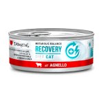 Disugual Veterinary Cat Recovery Jagnięcina 85g